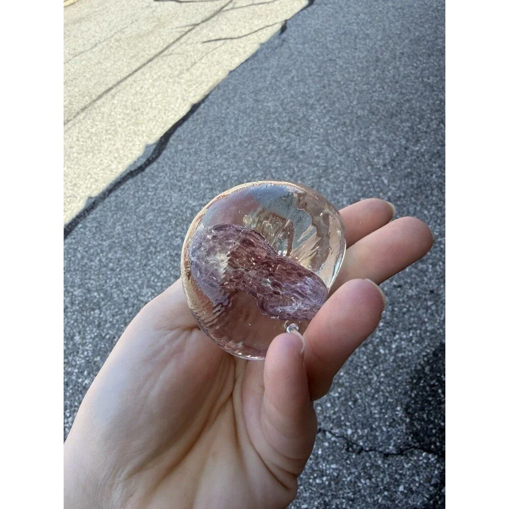 Vintage SeaShell Shaped Paperweight Clear 3